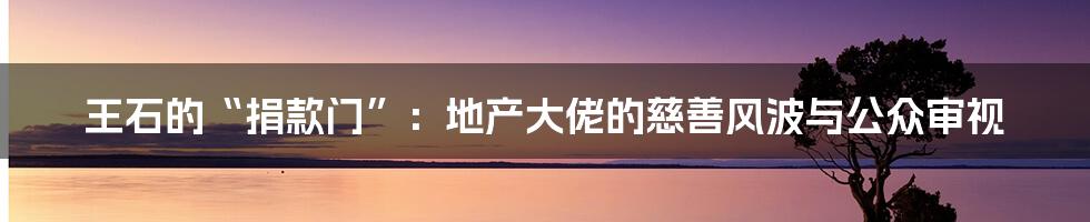 王石的“捐款门”：地产大佬的慈善风波与公众审视