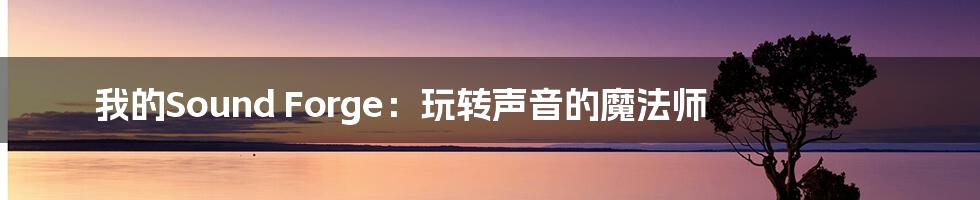 我的Sound Forge：玩转声音的魔法师