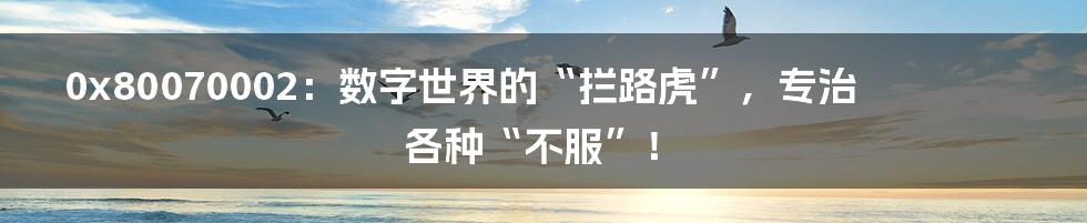 0x80070002：数字世界的“拦路虎”，专治各种“不服”！