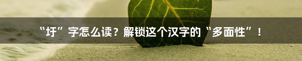 “圩”字怎么读?解锁这个汉字的“多面性”!