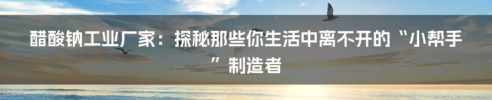 醋酸钠工业厂家：探秘那些你生活中离不开的“小帮手”制造者