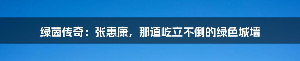 绿茵传奇:张惠康,那道屹立不倒的绿色城墙