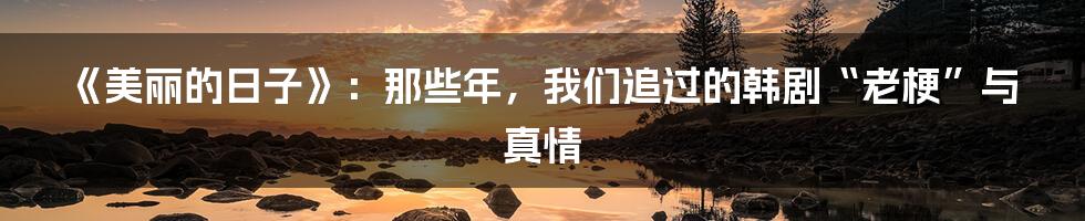 《美丽的日子》:那些年,我们追过的韩剧“老梗”与真情