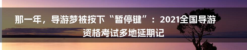 那一年,导游梦被按下“暂停键”:2021全国导游资格考试多地延期记