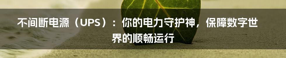 不间断电源（UPS）：你的电力守护神，保障数字世界的顺畅运行