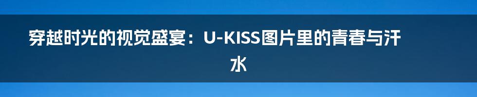 穿越时光的视觉盛宴:U-KISS图片里的青春与汗水