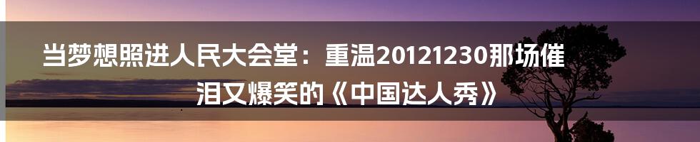 当梦想照进人民大会堂:重温20121230那场催泪又爆笑的《中国达人秀》