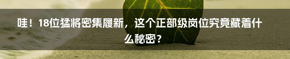 哇！18位猛将密集履新，这个正部级岗位究竟藏着什么秘密？