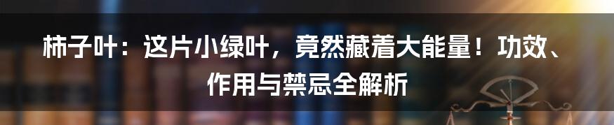 柿子叶：这片小绿叶，竟然藏着大能量！功效、作用与禁忌全解析