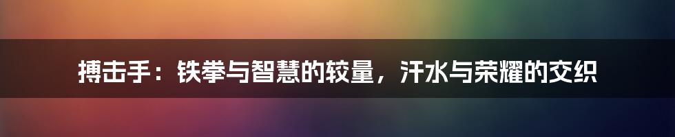 搏击手：铁拳与智慧的较量，汗水与荣耀的交织