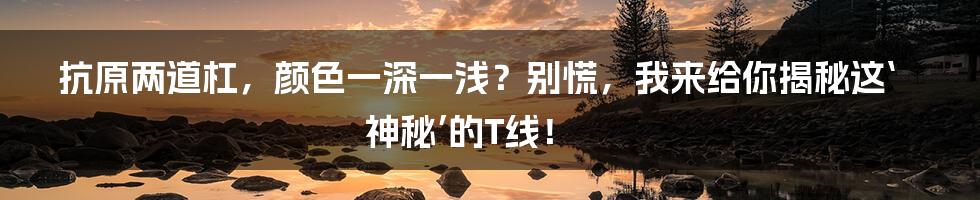 抗原两道杠，颜色一深一浅？别慌，我来给你揭秘这‘神秘’的T线！