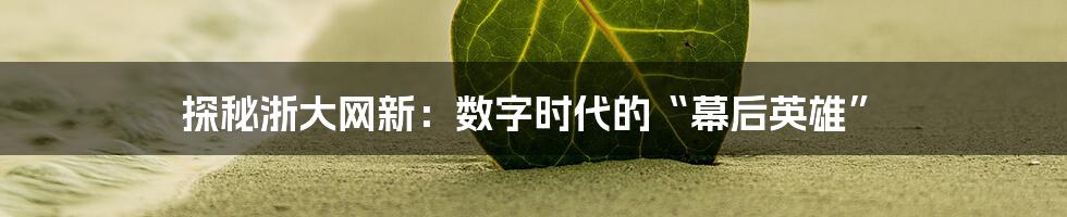 探秘浙大网新：数字时代的“幕后英雄”