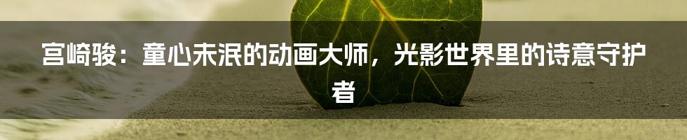 宫崎骏：童心未泯的动画大师，光影世界里的诗意守护者