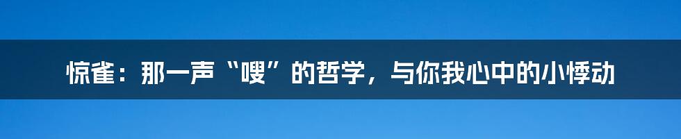 惊雀：那一声“嗖”的哲学，与你我心中的小悸动