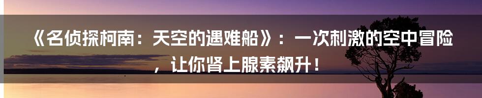 《名侦探柯南：天空的遇难船》：一次刺激的空中冒险，让你肾上腺素飙升！