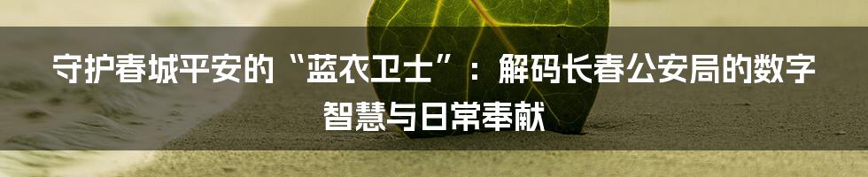 守护春城平安的“蓝衣卫士”：解码长春公安局的数字智慧与日常奉献