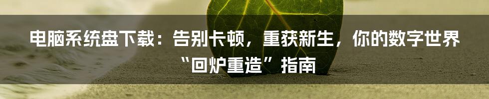 电脑系统盘下载：告别卡顿，重获新生，你的数字世界“回炉重造”指南