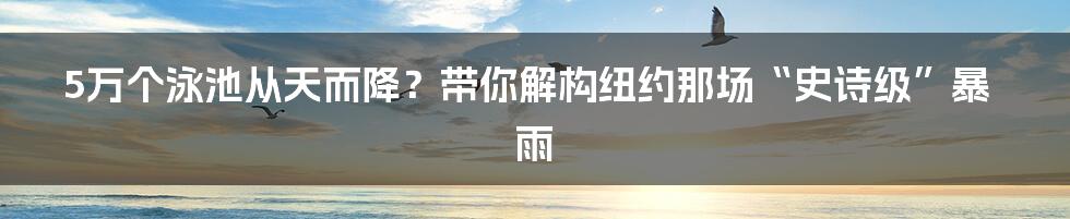 5万个泳池从天而降?带你解构纽约那场“史诗级”暴雨