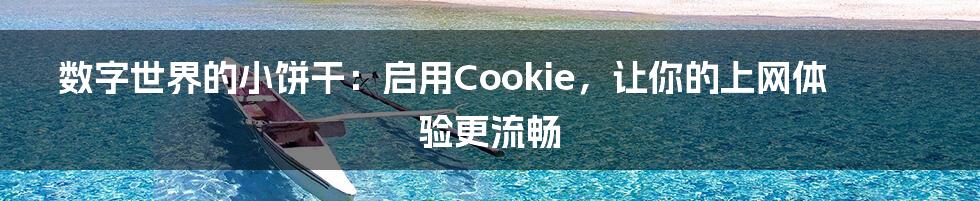 数字世界的小饼干：启用Cookie，让你的上网体验更流畅