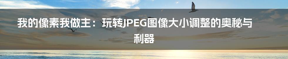 我的像素我做主：玩转JPEG图像大小调整的奥秘与利器