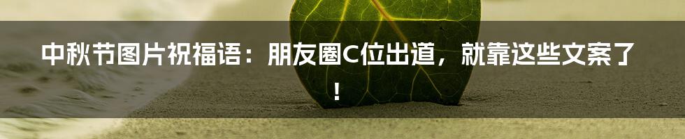 中秋节图片祝福语：朋友圈C位出道，就靠这些文案了！