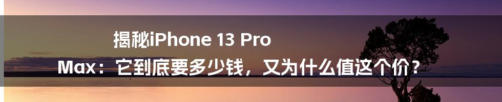 揭秘iPhone 13 Pro Max：它到底要多少钱，又为什么值这个价？