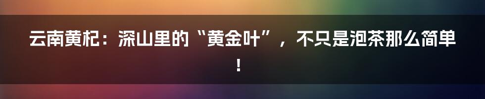 云南黄杞：深山里的“黄金叶”，不只是泡茶那么简单！
