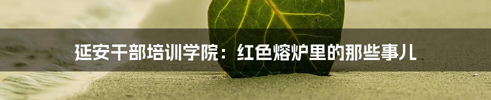 延安干部培训学院：红色熔炉里的那些事儿