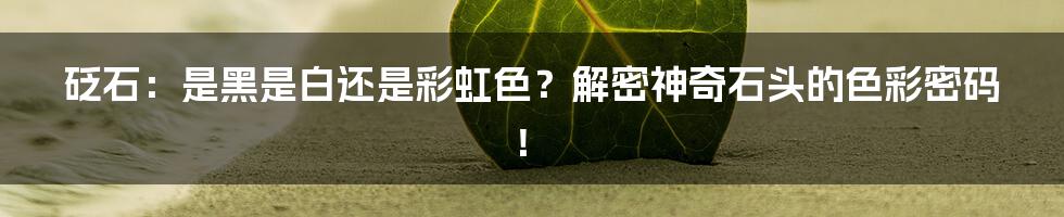 砭石：是黑是白还是彩虹色？解密神奇石头的色彩密码！
