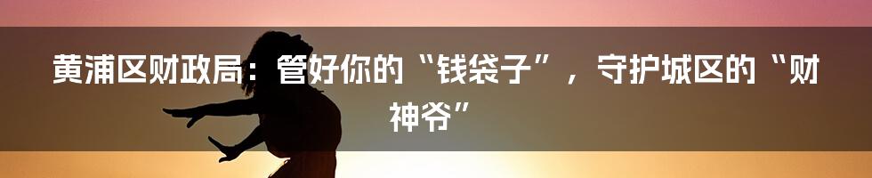 黄浦区财政局：管好你的“钱袋子”，守护城区的“财神爷”