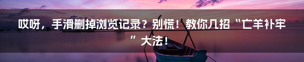 哎呀，手滑删掉浏览记录？别慌！教你几招“亡羊补牢”大法！