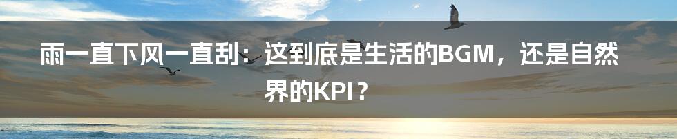雨一直下风一直刮：这到底是生活的BGM，还是自然界的KPI？