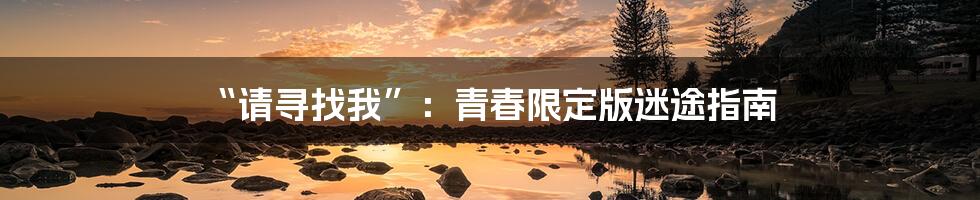 “请寻找我”：青春限定版迷途指南
