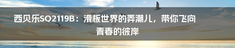 西贝乐SQ2119B：滑板世界的弄潮儿，带你飞向青春的彼岸