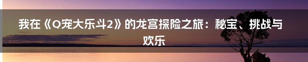 我在《Q宠大乐斗2》的龙宫探险之旅：秘宝、挑战与欢乐