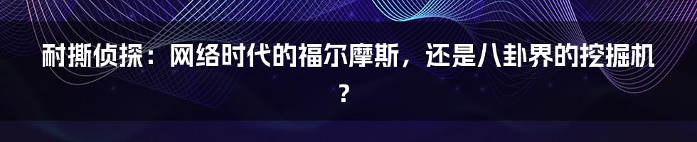 耐撕侦探:网络时代的福尔摩斯,还是八卦界的挖掘机?