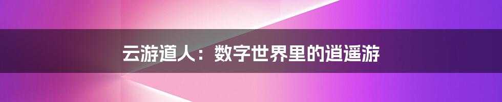云游道人：数字世界里的逍遥游
