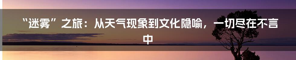 “迷雾”之旅：从天气现象到文化隐喻，一切尽在不言中