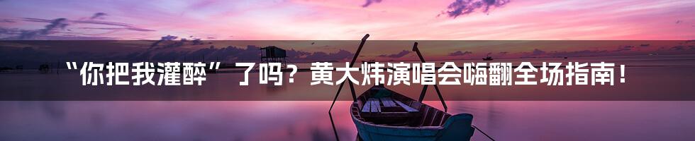 “你把我灌醉”了吗？黄大炜演唱会嗨翻全场指南！