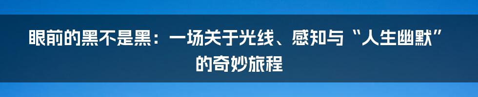眼前的黑不是黑:一场关于光线、感知与“人生幽默”的奇妙旅程