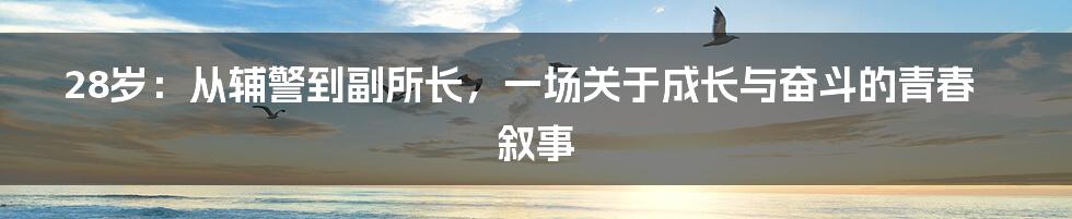 28岁：从辅警到副所长，一场关于成长与奋斗的青春叙事
