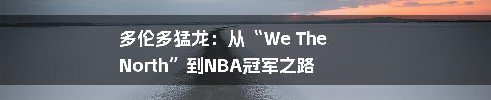 多伦多猛龙：从“We The North”到NBA冠军之路