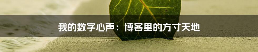 我的数字心声：博客里的方寸天地