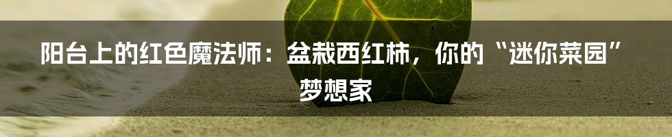 阳台上的红色魔法师：盆栽西红柿，你的“迷你菜园”梦想家