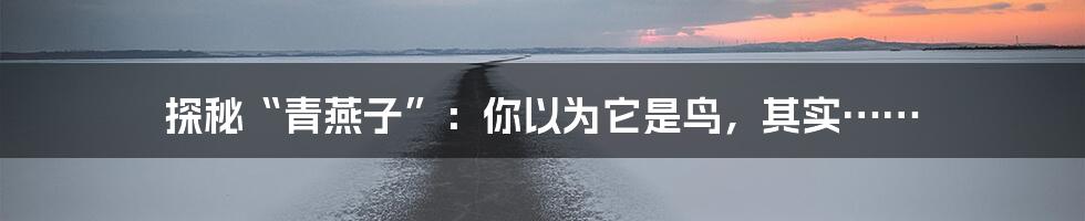 探秘“青燕子”：你以为它是鸟，其实……