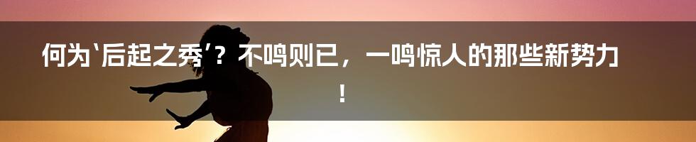 何为‘后起之秀’?不鸣则已,一鸣惊人的那些新势力!