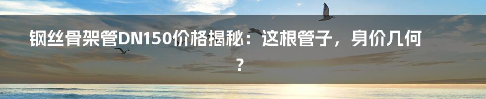 钢丝骨架管DN150价格揭秘：这根管子，身价几何？