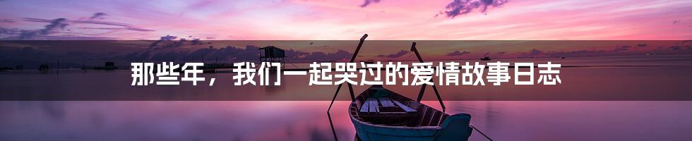 那些年，我们一起哭过的爱情故事日志