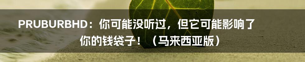 PRUBURBHD：你可能没听过，但它可能影响了你的钱袋子！（马来西亚版）