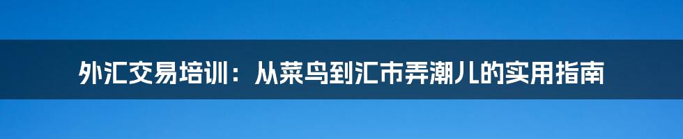 外汇交易培训：从菜鸟到汇市弄潮儿的实用指南